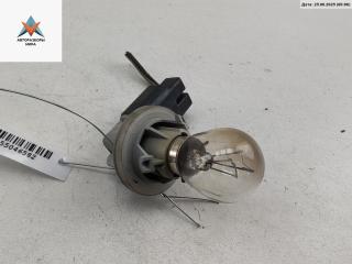 Патрон лампы фонаря Ford Focus 2 поколение 2006, 2.0 л., бензин, АКПП, синий, хетчбэк 3 дв.