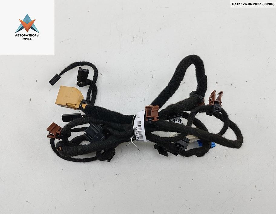 дверная проводка Volkswagen Phaeton 1 поколение 2003, 3.2 л., бензин, АКПП, чёрный, седан, 3D0971693BJ - фото №1