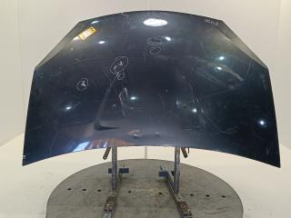 капот Renault Sandero 1 поколение 2012, цвет