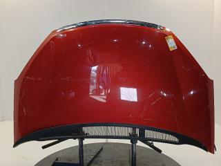 капот Ford C-Max 1 поколение [рестайлинг] 2009, цвет