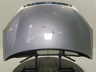 капот Ford C-Max 1 поколение [рестайлинг] 2009, цвет