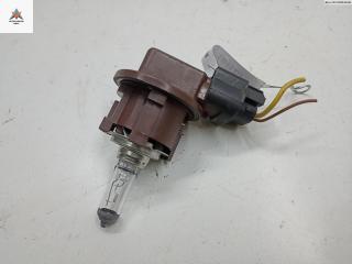 Патрон лампы фары Opel Zafira 1 поколение (A) [рестайлинг] 2003, 2.2 л., бензин, АКПП, серый, минивэн