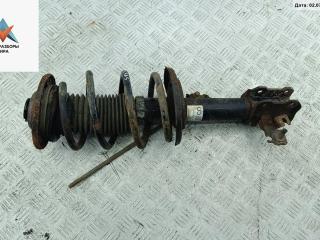 стойка передняя Opel Signum C 2003, 3.0 л., дизель, АКПП, серый, хетчбэк 5 дв., 13118707