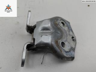 петля двери Hyundai Matrix 1 поколение [рестайлинг] 2007, серый, минивэн, FC-FLR