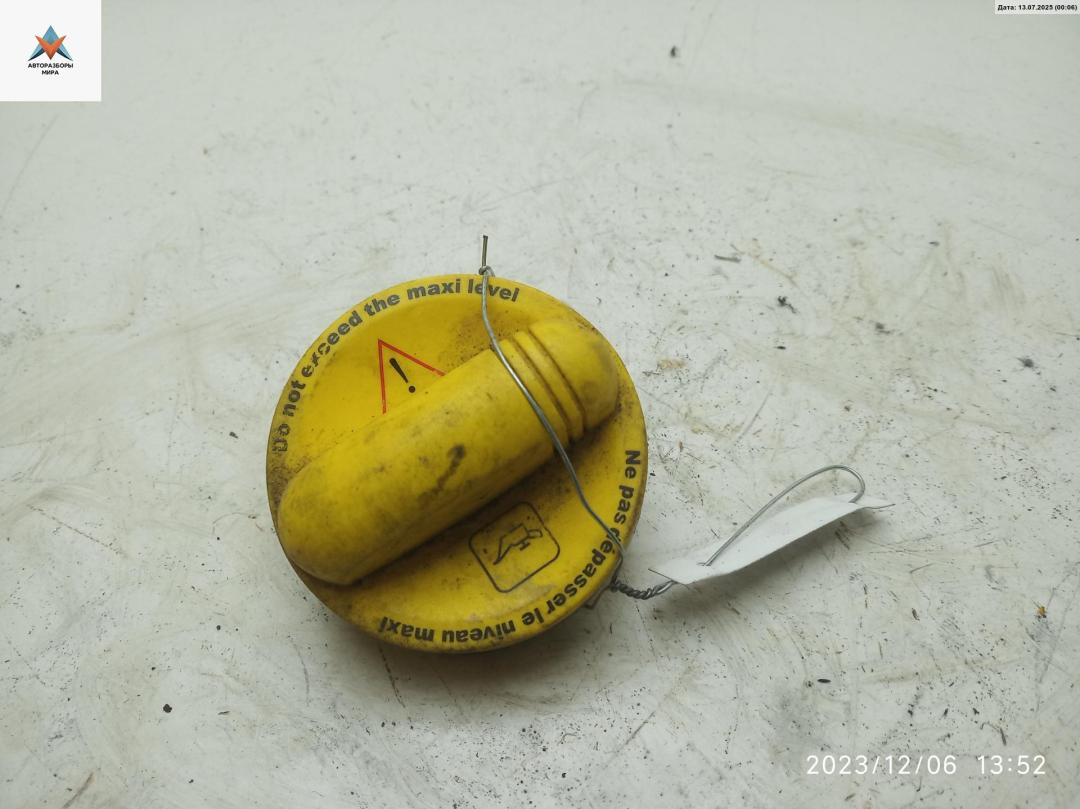 пробка маслозаливная Renault Master 3 поколение 2011, 2.3 л., дизель, МКПП, синий, микроавтобус - фото №1