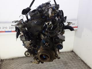 двигатель Nissan Navara D23 2014, 2.5 л., дизель, МКПП, пикап, YD25DDTI, YD25, 101025X00A