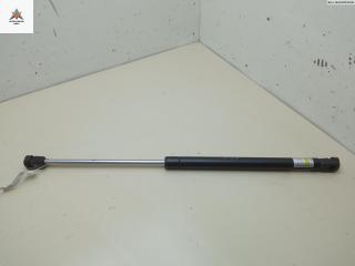 амортизатор крышки багажника (3-5 двери) Fiat Stilo 1 поколение 2004, 1.4 л., бензин, МКПП, синий, хетчбэк 3 дв., 1064473