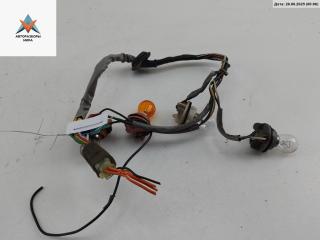 Патрон лампы фонаря Kia Carnival VQ 2005, 2.9 л., дизель, МКПП, серый, минивэн