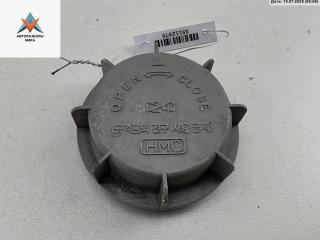 крышка фары Kia Carnival VQ 2005, 2.9 л., дизель, МКПП, серый, минивэн, HMC