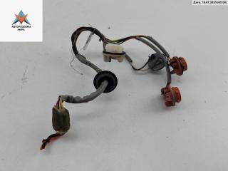 Патрон лампы фонаря Kia Carnival VQ 2005, 2.9 л., дизель, МКПП, серый, минивэн