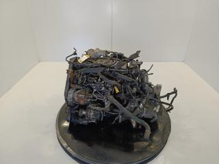 двигатель Ford Focus 2 поколение [рестайлинг] 2007, цвет, KKDA