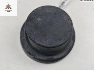 Крышка (заглушка) задняя фары BMW 5 серия E39 [рестайлинг] 2001, 3.0 л., дизель, АКПП, синий, универсал, 024441119N2X