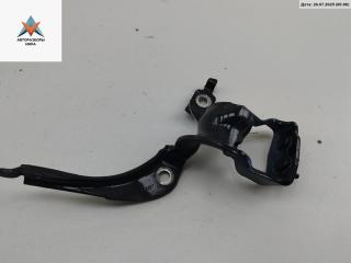 петля крышки багажника Audi A4 B7 2005, синий, универсал, 8E9827299E