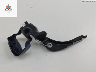 петля крышки багажника Audi A4 B7 2005, синий, универсал, 8E9827300E