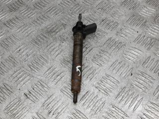форсунка BMW 5 серия F07/F10/F11 2011, 3.0 л., D 530d, дизель, АКПП, хетчбэк 5 дв., 0445116024