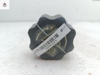 пробка расширительного бачка Citroen Berlingo 1 поколение (M49) 2003, 2.0 л., дизель, МКПП, серый, фургон