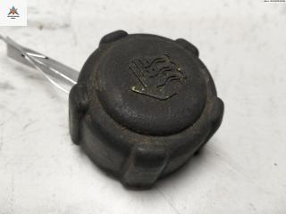 пробка расширительного бачка Dacia (Renault) Sandero I 2009, 1.2 л., бензин, МКПП, красный, хетчбэк 5 дв., 8200048024