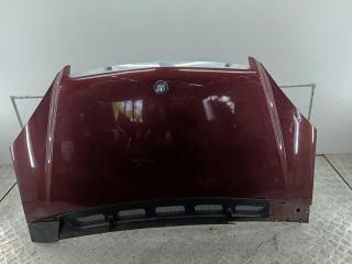 капот Mercedes-Benz A-Класс W169 2005, 2.0 л., бензин, АКПП, красный, хетчбэк 5 дв.