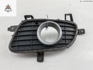 рамка фары противотуманной левой Mercedes-Benz A-Класс W169 2005, 2.0 л., бензин, АКПП, красный, хетчбэк 5 дв., 1698850722