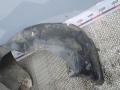 Подкрылок передний левый Opel Omega B [рестайлинг] 2001, 2.2 л., бензин, АКПП, седан - фото №3