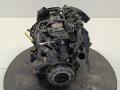 двигатель Ford Focus 2 поколение 2006, цвет, KKDB - фото №2
