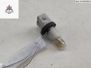 Патрон лампы фары Renault Scenic 1 поколение [рестайлинг] 2001, 1.4 л., бензин, МКПП, синий, минивэн