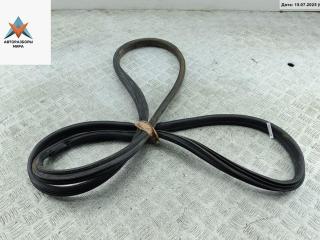 уплотнитель двери Ford Galaxy 1 поколение [рестайлинг] 2000, 1.9 л., дизель, МКПП, зелёный, минивэн