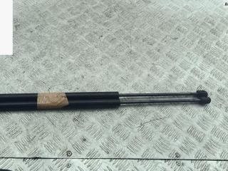 амортизатор крышки багажника (3-5 двери) Renault Scenic 1 поколение [рестайлинг] 2001, 1.4 л., бензин, МКПП, синий, минивэн, 7700434465