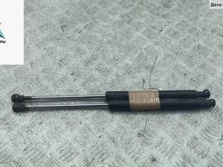 амортизатор крышки багажника (3-5 двери) Renault Clio 2 поколение [2-й рестайлинг] 2006, 1.2 л., бензин, МКПП, серый, хетчбэк 5 дв., 7700842256