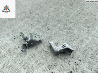 петля двери Renault Captur 1 поколение 2016, серый, внедорожник 5 дв., 4200003RK