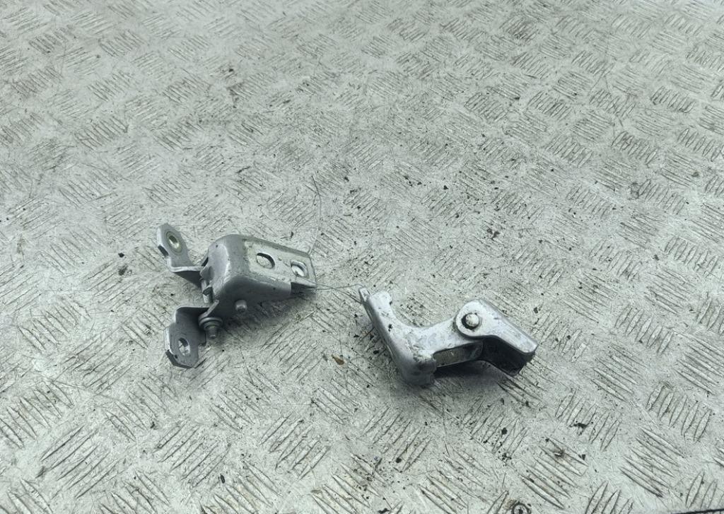 петля двери Renault Captur 2016, серый, внедорожник 5 дв., 4200003RK