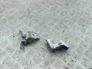 петля двери Renault Captur 2016, серый, внедорожник 5 дв., 4200003RK