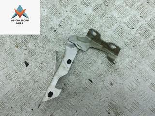 петля капота левая Renault Clio 2 поколение [2-й рестайлинг] 2006, серый, хетчбэк 5 дв., 7700842680