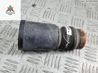 пыльник и отбойник амотртизатора Volkswagen Passat B5 1997, 1.8 л., бензин, МКПП, серый, универсал, 8D0412131F