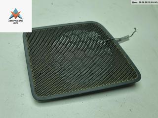 Сетка (решетка) динамика Volkswagen Caddy 3 поколение 2009, 1.4 л., бензин, МКПП, красный, фургон, 2K0858425