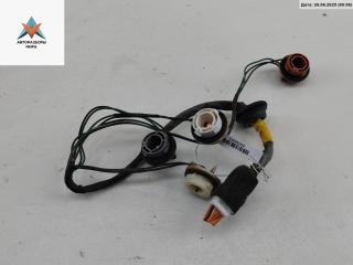 Патрон лампы фонаря Kia Picanto 1 поколение [рестайлинг] 2007, 1.1 л., бензин, МКПП, синий, хетчбэк 5 дв.