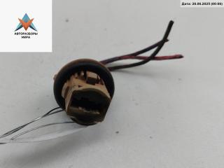 Патрон лампы фонаря Nissan X-Trail T30 [рестайлинг] 2006, 2.2 л., дизель, МКПП, зелёный, внедорожник 5 дв.