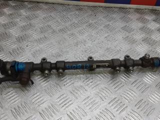 топливная рампа Hyundai Santa Fe 2 поколение (CM) [рестайлинг] 2010, 2.2 л., дизель, МКПП, внедорожник 5 дв., 0445214211, 314002F000