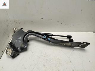 петля капота правая Renault Scenic 3 поколение 2011, чёрный, минивэн, 654000004R