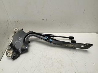 петля капота правая Renault Scenic III 2011, чёрный, минивэн, 654000004R