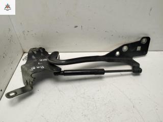 петля капота левая Renault Scenic 3 поколение 2011, чёрный, минивэн, 654010004R