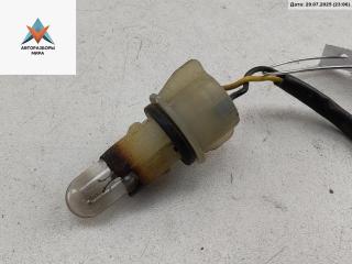 Патрон лампы фонаря Ford Focus 2 поколение [рестайлинг] 2009, 1.6 л., дизель, МКПП, белый, хетчбэк 5 дв.