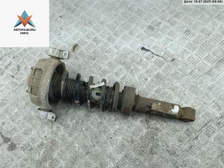 амортизатор задний левый Volkswagen Touareg 1 поколение [рестайлинг] 2009, 3.0 л., дизель, АКПП, чёрный, внедорожник 5 дв.