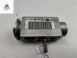 расширительный клапан кондиционера Mercedes-Benz S-Класс W220 [рестайлинг] 2002, 3.7 л., бензин, АКПП, чёрный, седан, 2308300184