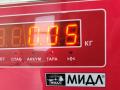 Плата фонаря заднего правого Mercedes-Benz E-Класс W211/S211 2002, 2.7 л., дизель, АКПП, чёрный, универсал - фото №3