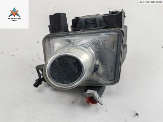 фара противотуманная правая Opel Signum C 2004, 2.2 л., бензин, АКПП, серый, хетчбэк 5 дв., 13123959