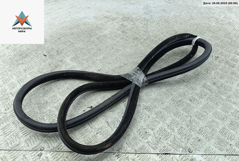 уплотнитель двери BMW 5 серия F07/F10/F11 2012, 3.0 л., дизель, АКПП, чёрный, универсал - фото №1