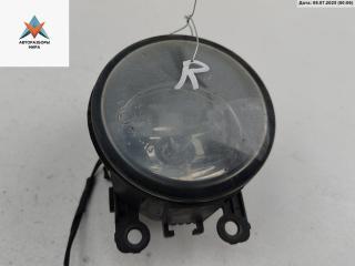 фара противотуманная правая Ford Focus 2 поколение [рестайлинг] 2008, 1.6 л., i, бензин, МКПП, серый, универсал, 89204003