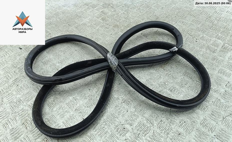 уплотнитель двери BMW 5 серия F07/F10/F11 2012, 3.0 л., дизель, АКПП, чёрный, универсал - фото №1