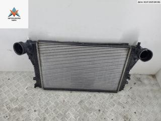радиатор интеркулера Volkswagen Touran 1 поколение 2005, 2.0 л., дизель, АКПП, красный, минивэн, 1K0145803
